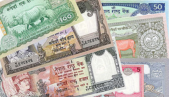 Nepali Rupee Rate Search All Remittance Sites At Once nepali-rupee-rate-search-all-remittance-sites-at-once